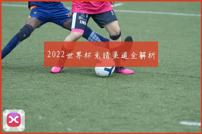 2022世界杯竞猜渠道全解析