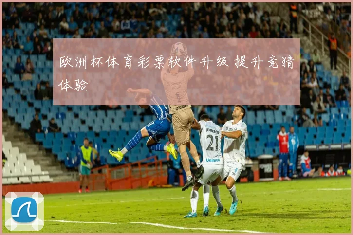 欧洲杯体育彩票软件升级 提升竞猜体验