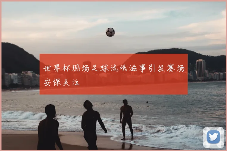世界杯现场足球流氓滋事引发赛场安保关注