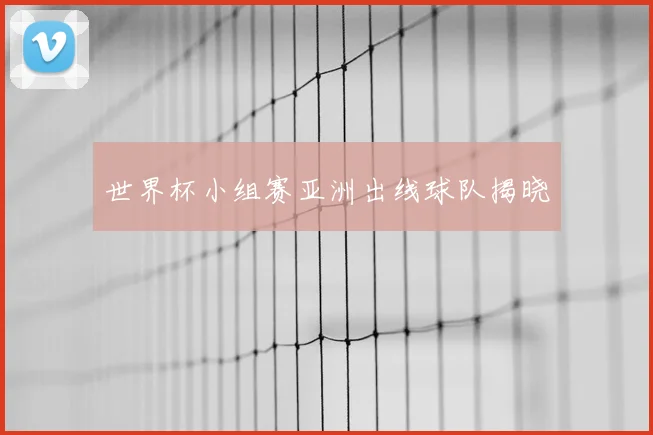 世界杯小组赛亚洲出线球队揭晓