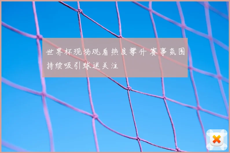 世界杯现场观看热度攀升 赛事氛围持续吸引球迷关注