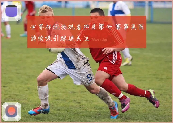 世界杯现场观看热度攀升 赛事氛围持续吸引球迷关注