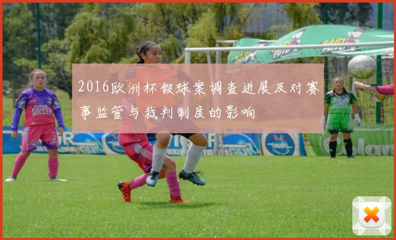 2016欧洲杯假球案调查进展及对赛事监管与裁判制度的影响