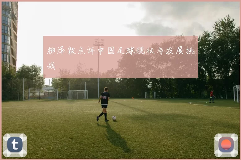柳泽敦点评中国足球现状与发展挑战