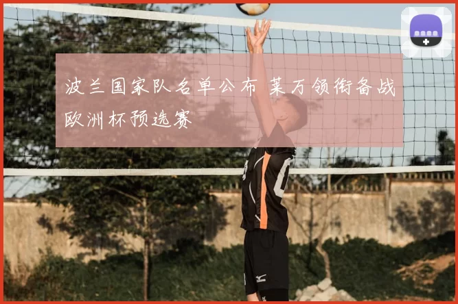 波兰国家队名单公布 莱万领衔备战欧洲杯预选赛